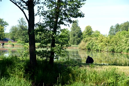 7227_June_2021_in_Białowieża