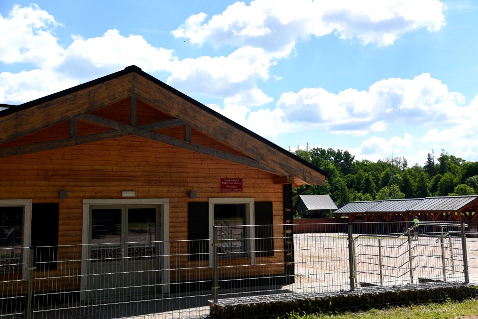 7265_Rezerwat_Pokazowy_Żubrów_w_Białowieży_June_2021