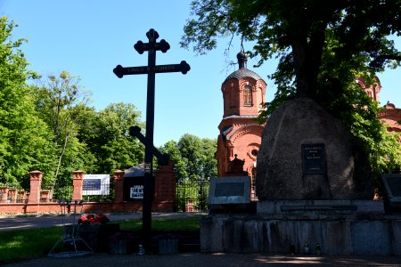 7222_June_2021_in_Białowieża