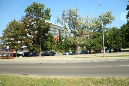 7195_August_2018_in_Białystok