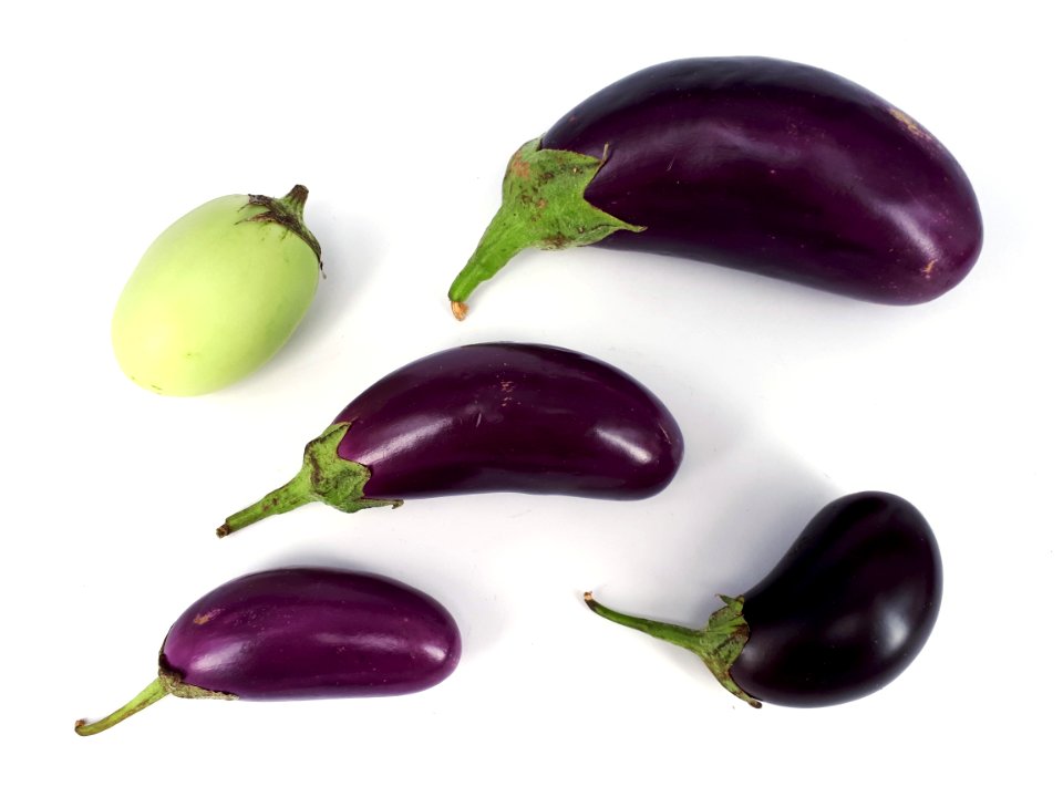 5_x_Small_eggplant_2017_A