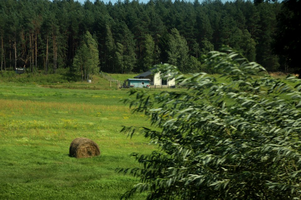 7294_August_2018_in_Podlaskie_Voivodeship