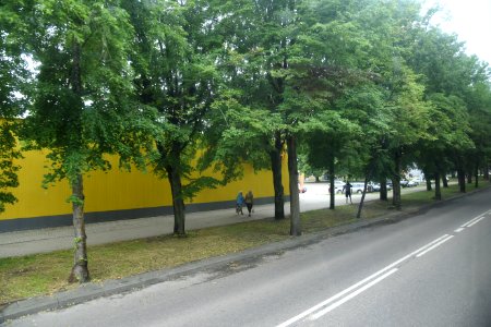 7290_June_2021_in_Hajnówka