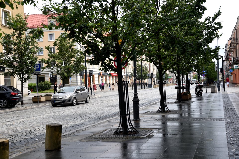 7310_July_2021_in_Białystok