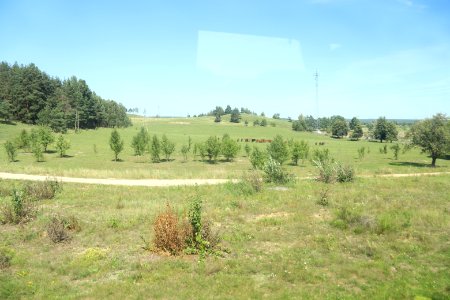 7310_August_2018_in_Podlaskie_Voivodeship