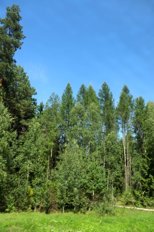 7307_August_2018_in_Podlaskie_Voivodeship