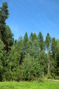7307_August_2018_in_Podlaskie_Voivodeship