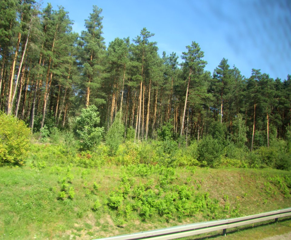 7301_August_2018_in_Podlaskie_Voivodeship