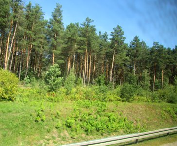 7301_August_2018_in_Podlaskie_Voivodeship
