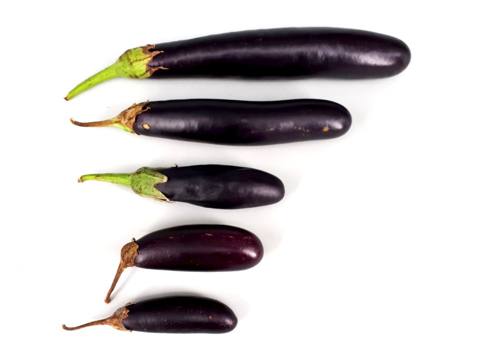5_x_Orient_Express_eggplant_2017_A