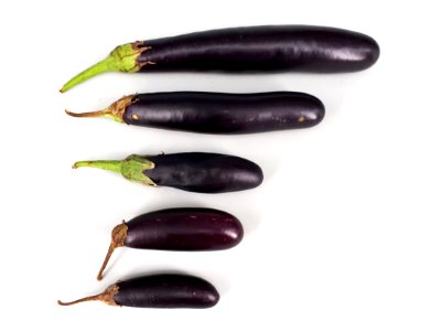5_x_Orient_Express_eggplant_2017_A