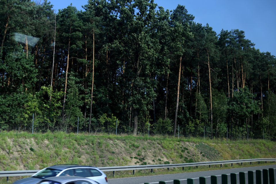 7074_August_2018_in_Masovian_Voivodeship