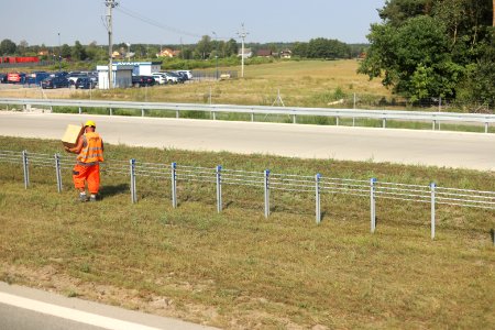 7121_August_2018_in_Podlaskie_Voivodeship