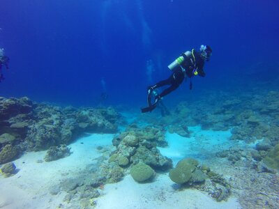 Palau scuba diving scuba diver photo