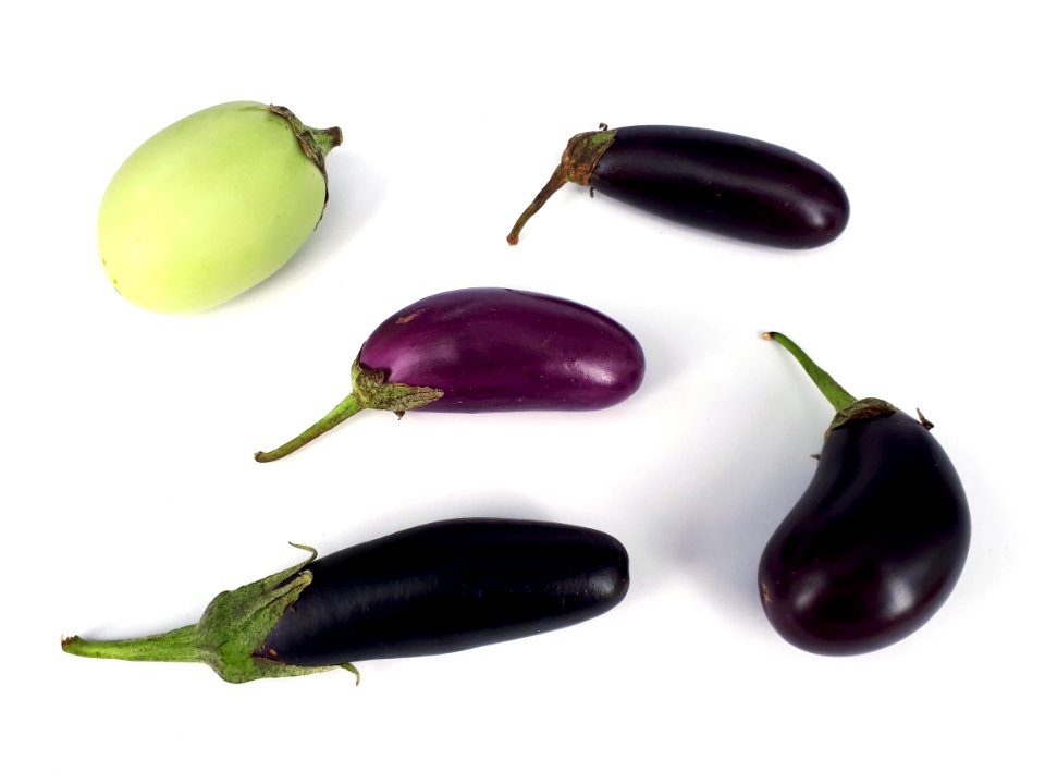 5_x_Small_eggplant_2017_C