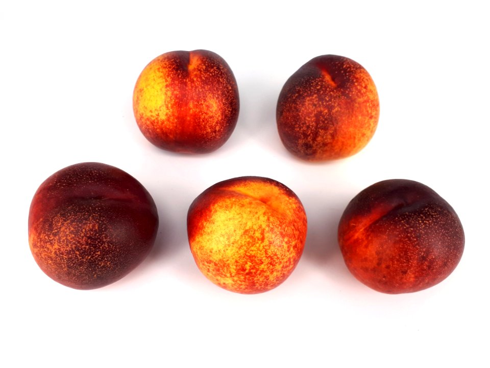 5_x_Spotted_nectarine_2017_A