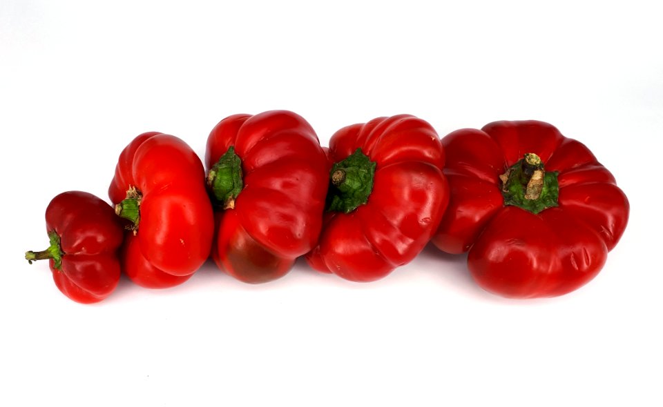 5_x_Flat_red_bell_pepper_2017