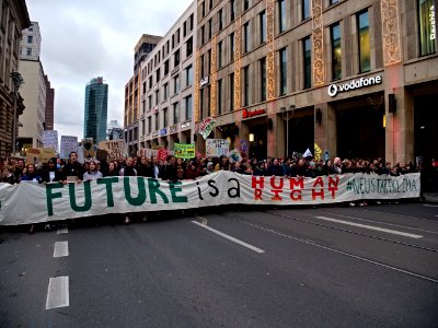 4th_Global_Climate_Strike_Berlin_FridaysForFuture_demonstration_front_30