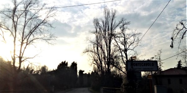 4Castella_107