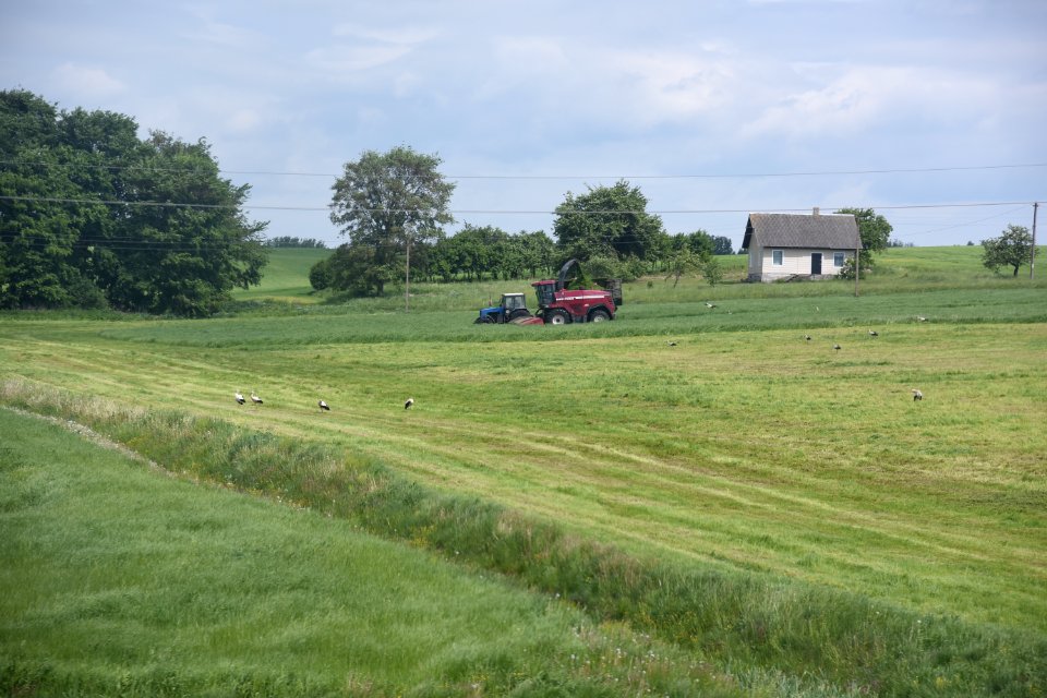 4541_Belarus_agriculture_May_2019
