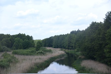 4618_Nature_in_Hrodna_Region_Belarus_May_2019 photo