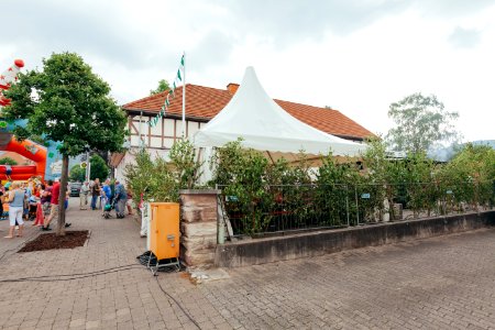 449._Wanfrieder_Vogelschießen_2017_IMG_4534_edit