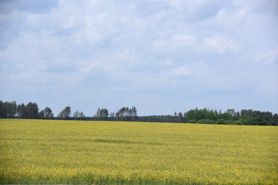 4619_Hrodna_Region_Belarus_May_2019