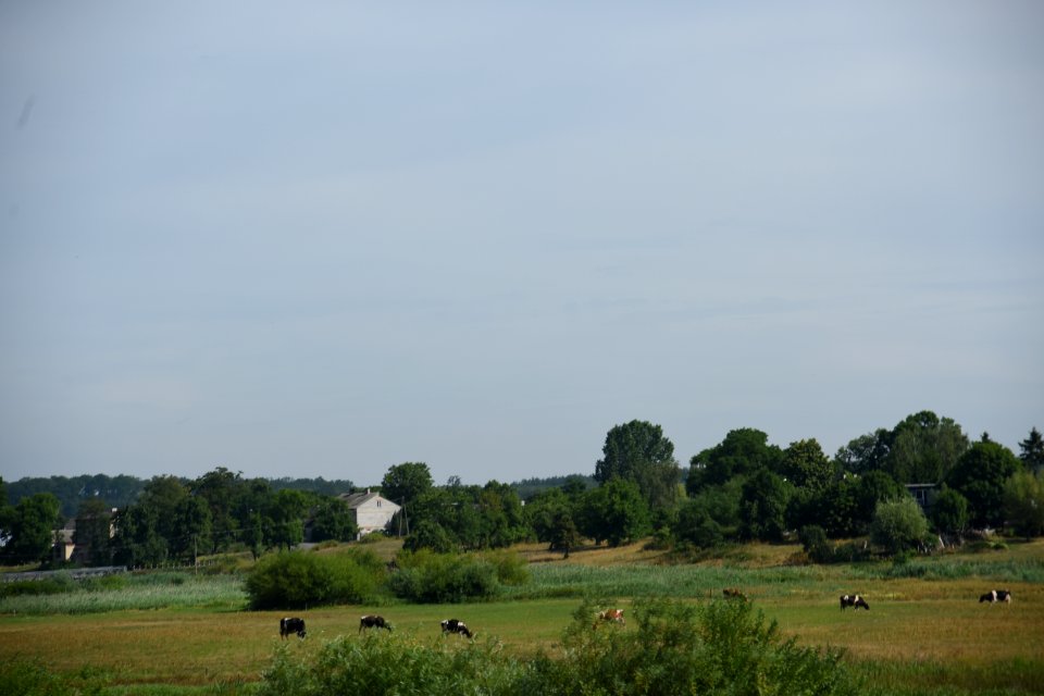 4756_Lodz_Voivodeship_July_2019