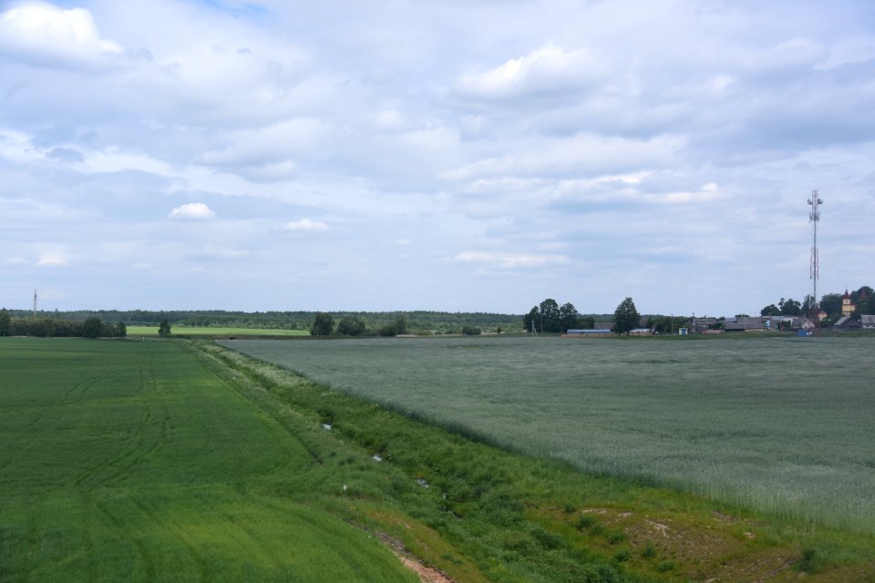 4560_Belarus_Hrodna_Region_May_2019_Field