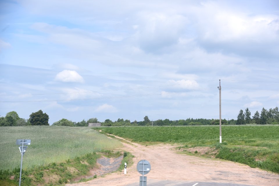 4535_Field_Belarus_May_2019