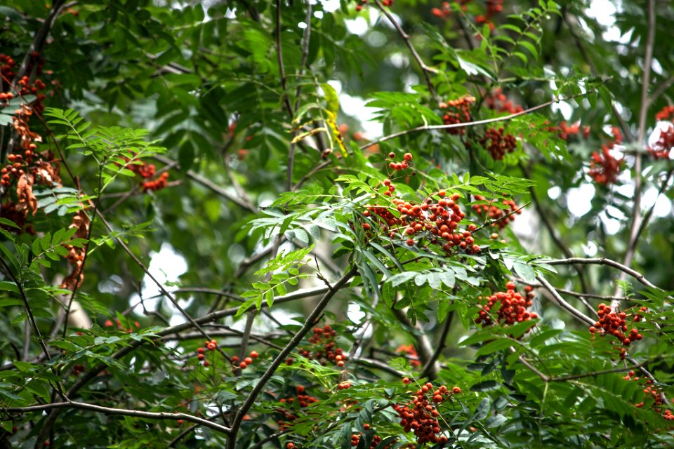 500px_photo_(128017141)