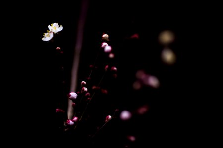 500px_photo_(143160649)