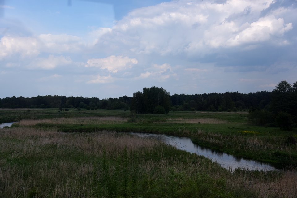 4699_Belarus-Poland_border_bobrowniki-berastasvitsa_May_2019