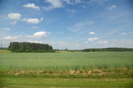 4645_Nature_Hrodna_Region_Belarus_May_2019
