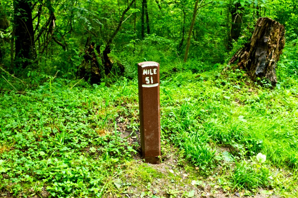 51_Mile_Mark_on_Chesapeake_and_Ohio_Canal_on_the_4_mile_level_of_Brunswick