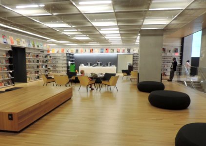 53_St_NYPL_reading_room_jeh
