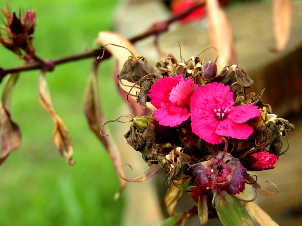 500px_photo_(213943193)