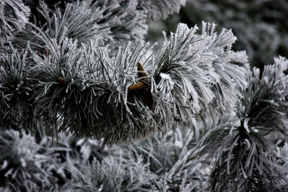500px_photo_(194874557)