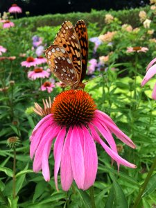 500px_photo_(134007645)