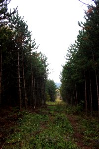 500px_photo_(179745421)