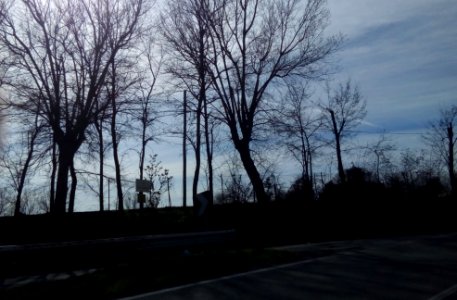 4CASTELLA_29