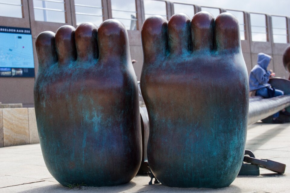Toes images architecture