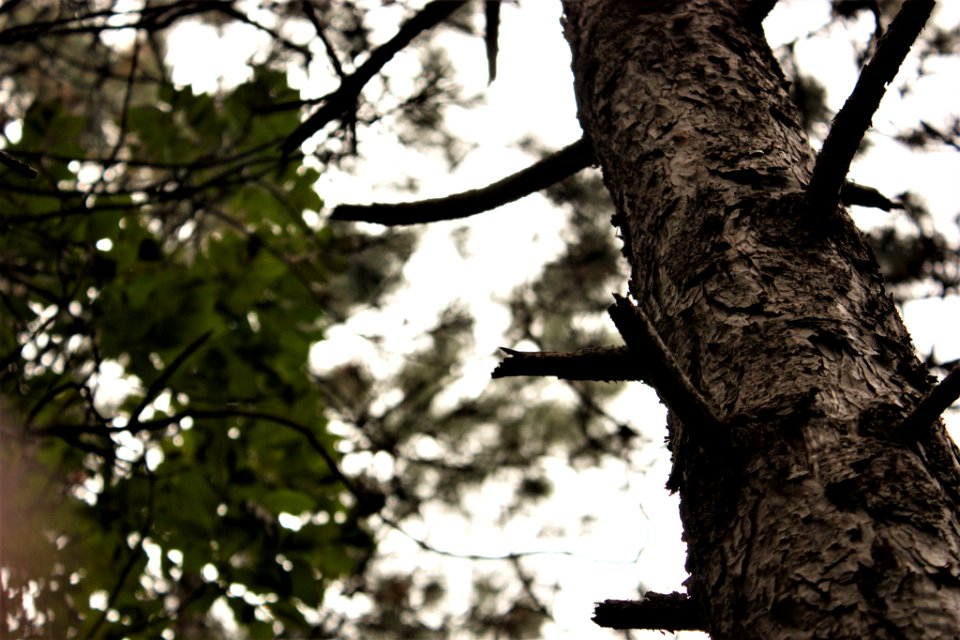 500px_photo_(186107151)