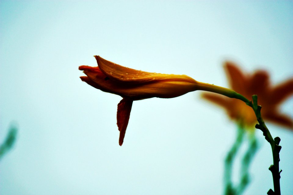 500px_photo_(168063891)