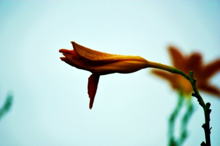 500px_photo_(168063891)