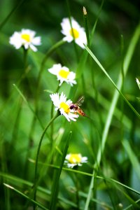 500px_photo_(168130451)