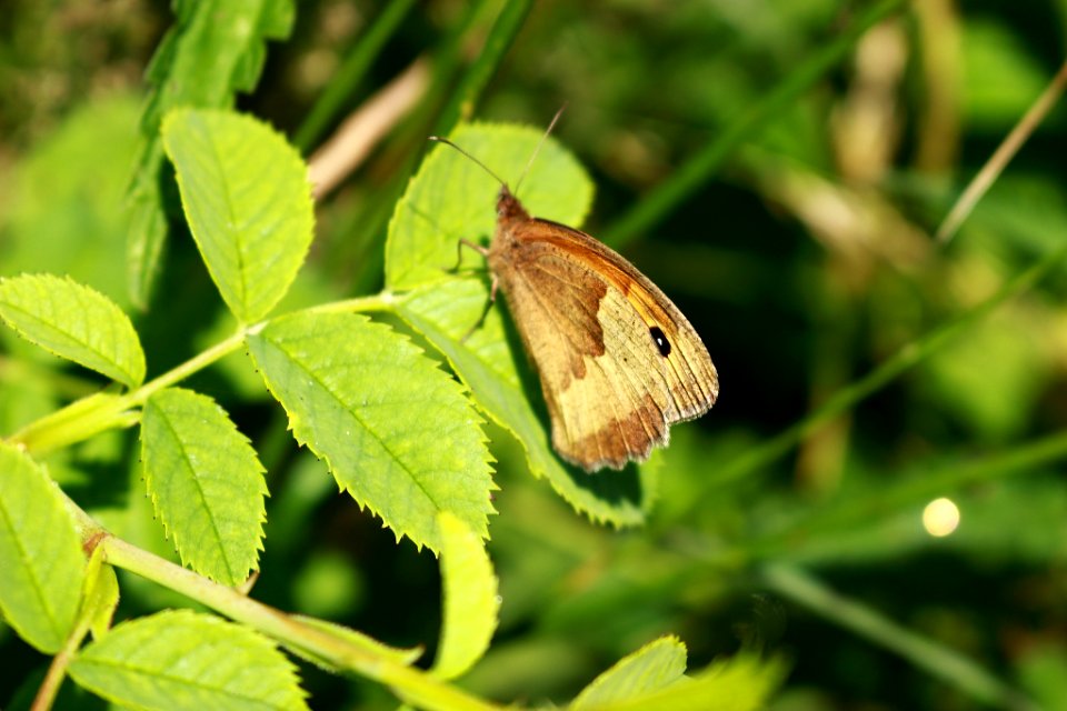 500px_photo_(163493275)