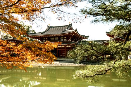 Ancient fall kyoto photo