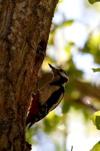500px_photo_(219407821)