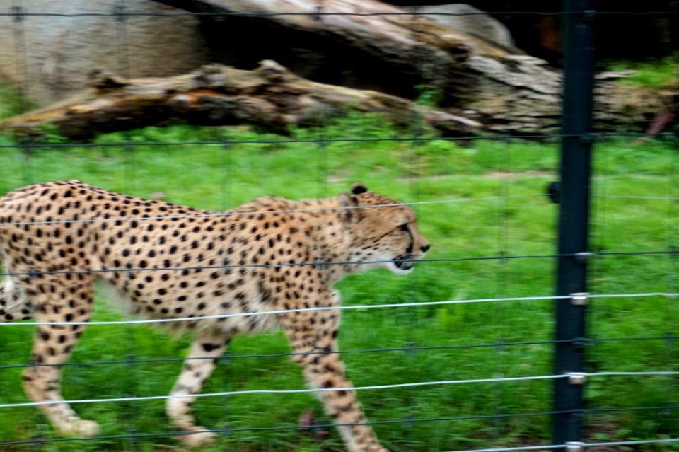 500px_photo_(215410509)